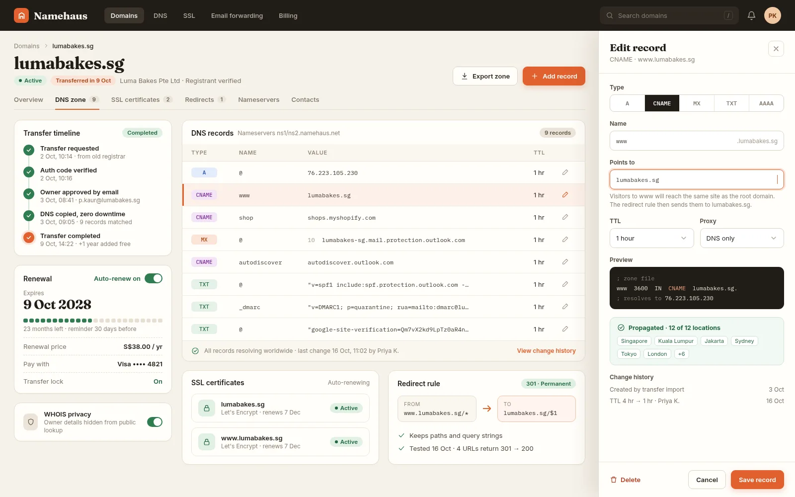 Domain & DNS Setup — example