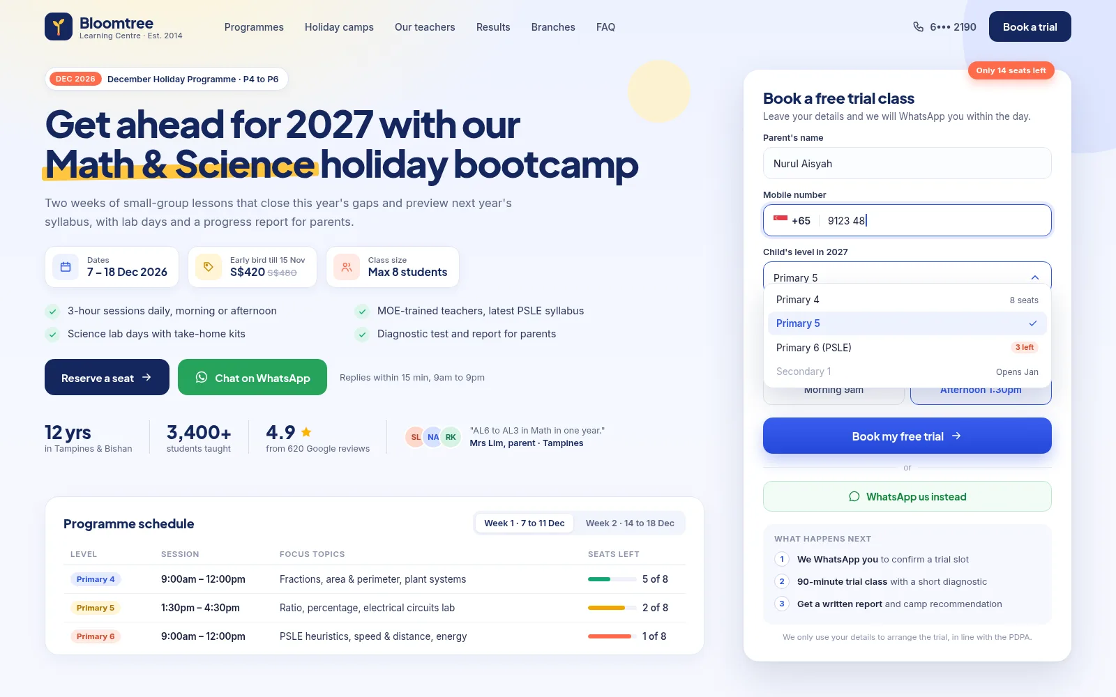 Landing Page — example